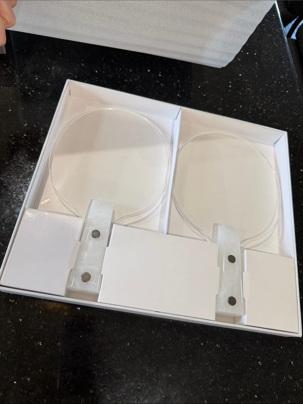 CB2 Clear Acrylic Table Tennis Paddles with White Accents (Set of 2)